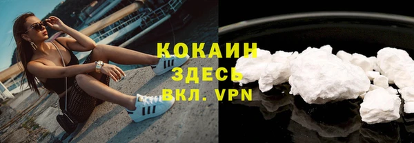 ALPHA PVP Богородицк