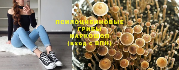 каннабис Новодвинск