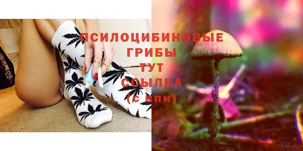 мдпв Беломорск