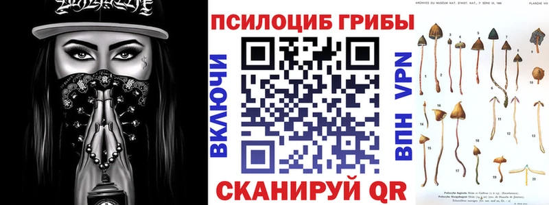 OMG маркетплейс  Бугуруслан  Псилоцибиновые грибы Magic Shrooms 